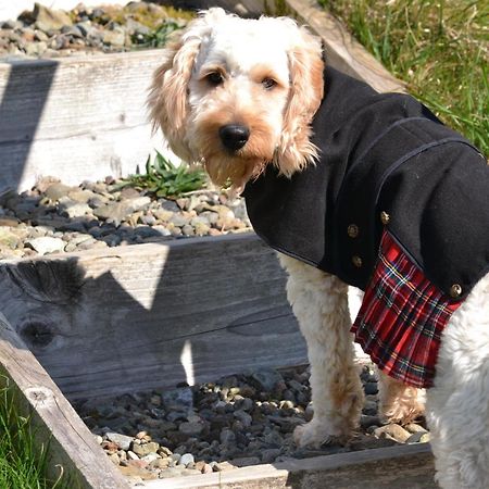 Burnbank Bnb Tobermory Kültér fotó