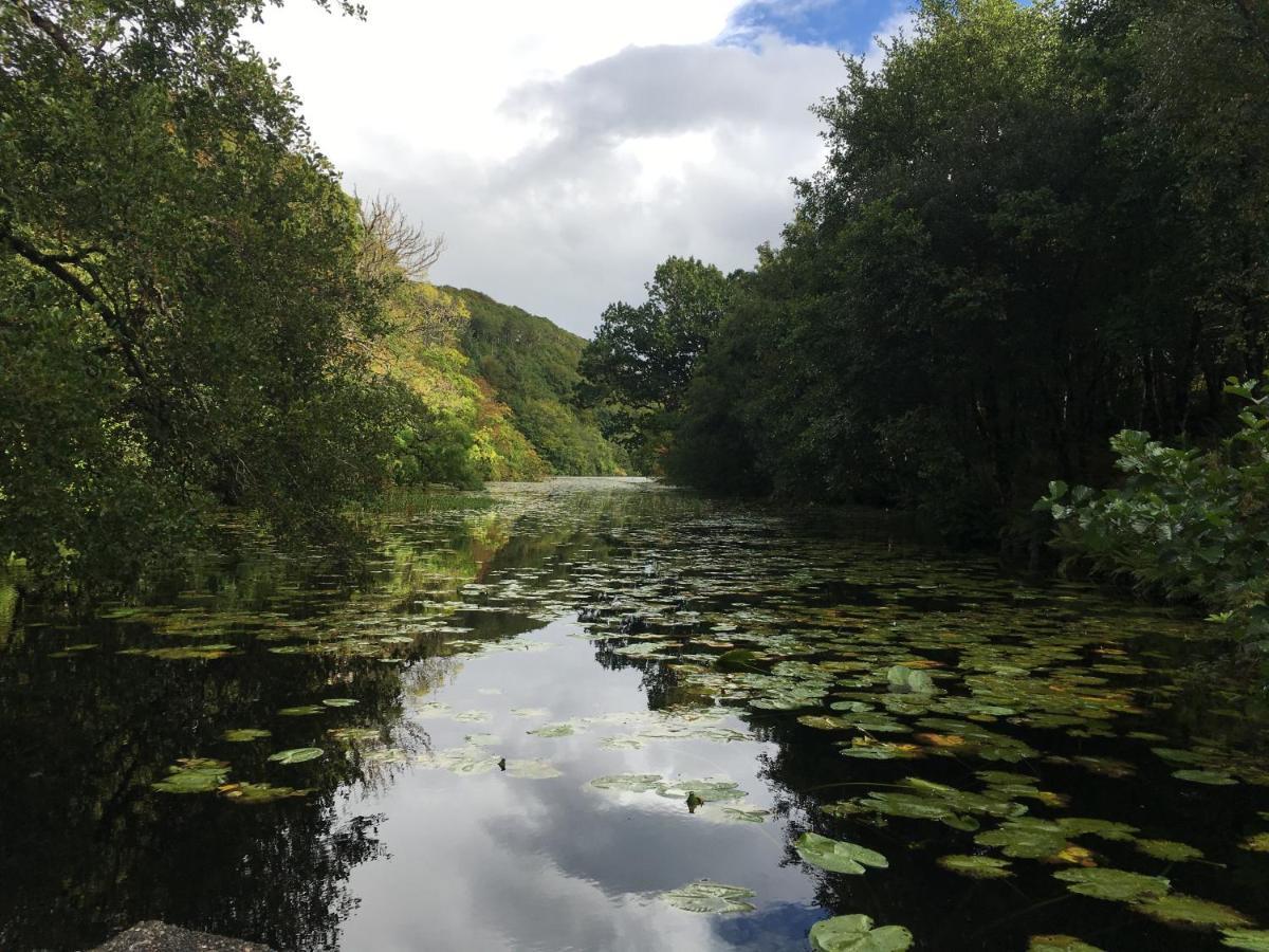 Burnbank Bnb Tobermory Kültér fotó