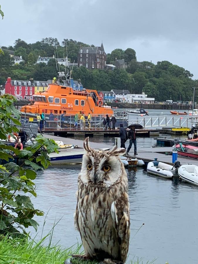 Burnbank Bnb Tobermory Kültér fotó